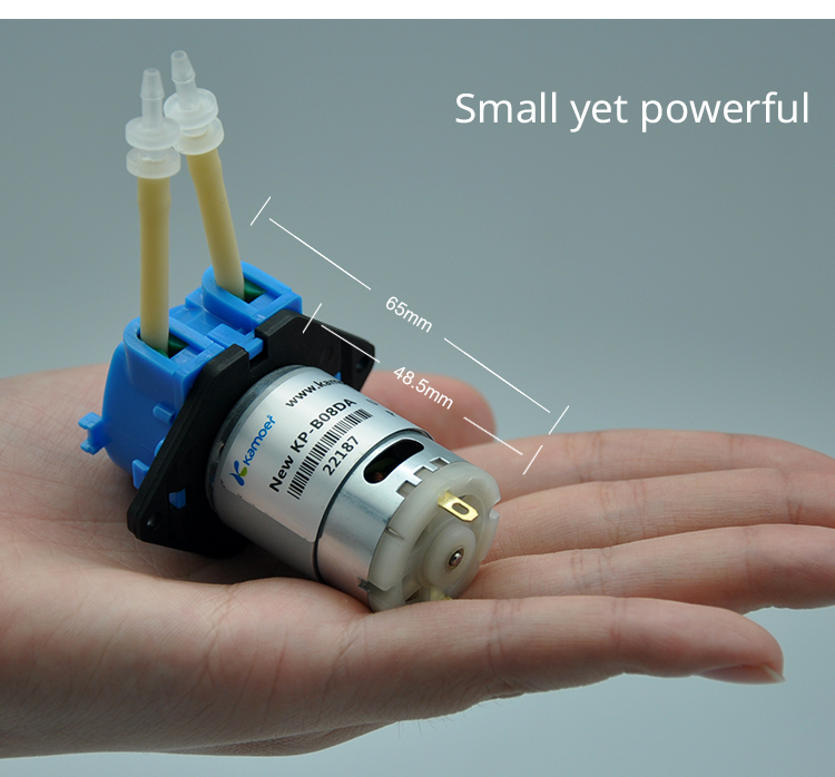 مضخة تغذية صامتة جديدة 2026 NK - مراجعة Dc Motor 12V وسعره