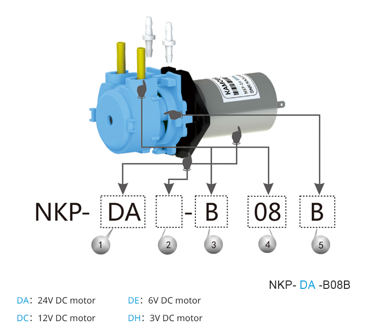 مضخة تغذية صامتة جديدة 2026 NK - مراجعة Dc Motor 12V وسعره